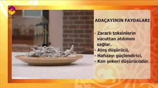 Tıbbi Bitkiler (Adaçayı) - DİYANET TV