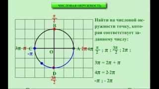 10 класс. Алгебра. Числовая окружность.