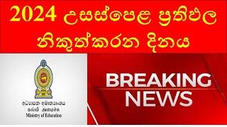 2024 A/L Results Release Date in Sri Lanka | Latest Updates & What to Expect