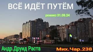 ВСЁ ИДЁТ ПУТЁМ _ РЕМИКС 31 08 24 _ АНДР ДРУИД РАСТА - МИХ ЧАР 238