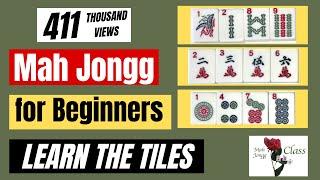 MAH JONGG for Beginners 1.1 - American - Learning the Tiles NMJL Lessons How to Play Mahj