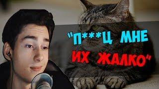 Юранус смотрит видео про бездомных котят  | Youranus stream