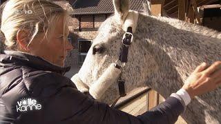 Was tun, wenn ein Pferd sich nicht putzen lässt - Andrea Kutsch im ZDF