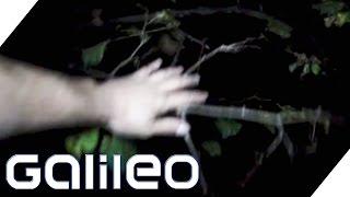 One night in the scariest forest in the world - Hoia Baciu | Galileo | ProSieben