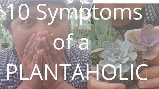 10 Symptoms of a Plantaholic