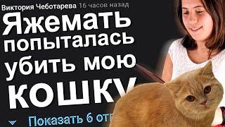 ЯЖЕМАТЬ ПОПЫТАЛАСЬ УБИТЬ МОЮ КОШКУ. ЯЖЕМАТЬ ИСТОРИИ ИЗ ЖИЗНИ. АПВОУТ.