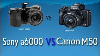 Canon M50 Vs Sony a6000