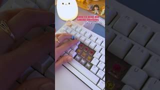 Akko linear switches sound test pt.2 #akko #linearswitches #soundtest #asmr #mechanicalkeyboard