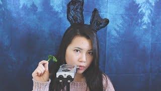 [ASMR] Easter Bunny Eats Lettuce