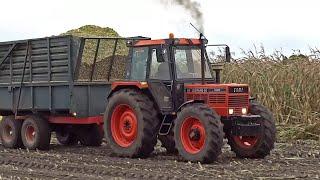 Mais Silage | Claas Jaguar 695 + Same Leopard 90 Turbo | 2017