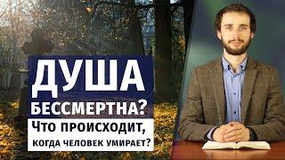 ДУША БЕССМЕРТНА? Что происходит, когда человек умирает?