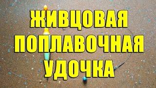 Живцовая поплавочная удочка. Монтаж поплавочной снасти для ловли на живца