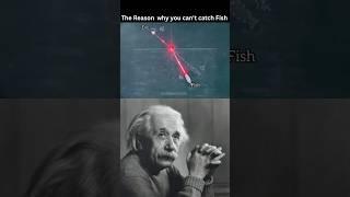The power of refraction #shorts #science #facts #physics #viral #fyp #fish #refraction