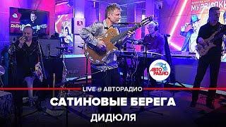 ДиДюЛя - Сатиновые Берега (LIVE @ Авторадио)