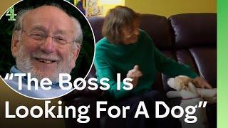 85 year old Pim's mission: to find a dog to keep his wife company after he's gone | The Dog House 