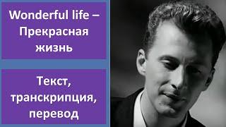 Black – Wonderful Life – текст, перевод, транскрипция