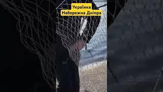 Українка набережна, карась #fishing #активнийвідпочинок #галікпродакшин #рибалка