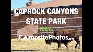 Caprock Canyons State Park, TX