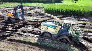 ENSILAGE en CONDITIONS EXTREMES : LE FILM | 2024