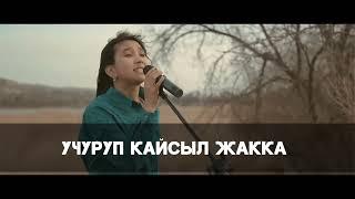 Нурайым Акылбекова - Суйуу арманы (караоке-минусовка)
