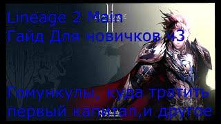 Lineage 2 Main Гайд для новичков часть 3. Гомункулы, куда тратить первый капитал, экипировка.