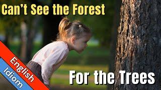 Can't See the Forest For the Trees Meaning | English Idioms