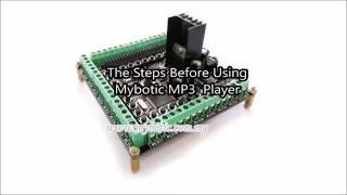 Overview Of Mybotic MP3 Player