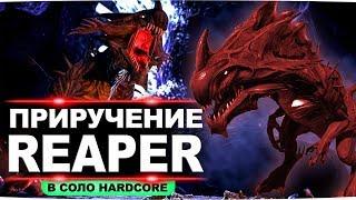 Финал сезона. Соло приручение Reaper в HardCore режиме без модов в ARK (1+2 ведущих стрим)