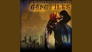 Mr. Shadow