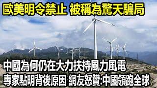 歐美明令禁止，被稱為驚天騙局，中國為何仍在大力扶持風力風電，專家點明背後三大原因，網友怒贊：中國領跑全球