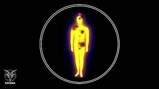 Audio To Destroy / Remove Astral Parasites, Attachments, Implants & Larvae (Freq. Burner) (1 Hour)