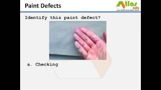 ATLAS-CDC: What are the common Paint Defects?