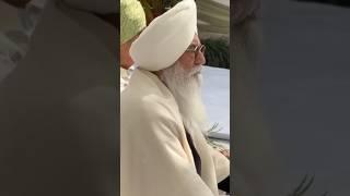 बाबा जी शादी में चंडीगढ़ दर्शन | radha swami satsang  | #shorts