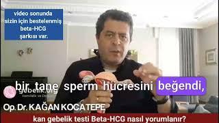 Beta HCG nasıl yorumlanır? Kanda gebelik testi kaç çıkarsa kesin gebelik vardır? Tekrarlanmalı mı?