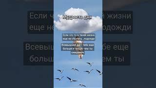 #мудрость #позитив #цитатыосмысле #самопознание #духовноразвитие #цитаты #бог #аффирмации #успех