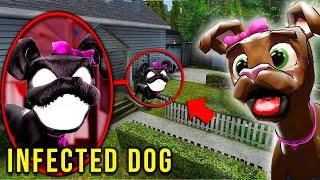 If You See INFECTED DOG Outside Your House... RUN!!!