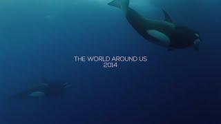 2014: THE WORLD AROUND US