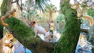 Hunting *TREE RATS* with my DOG *Squirrel Catch & Cook* BlueGabe Style