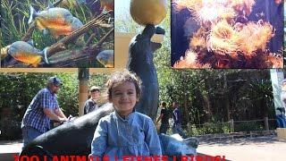 Ruhi"s Day Out At Houston Zoo Outdoor Family Fun