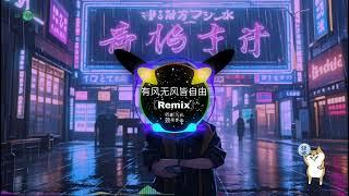 王一佳-有风无风皆自由(DJ remix)2024【抖音热门歌曲】New Ver Top Tiktok songs