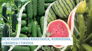 Bejo | Asortiman – krastavac, kornišon, lubenica i tikvica