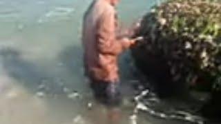 pejuang rupiah dngn mnycari agar dipantai pasput