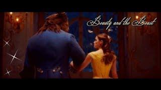 Beauty and the Beast || I Need A Forest Fire || BATB