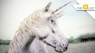 5 True Facts about Unicorns