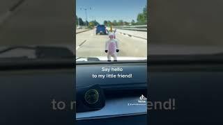 Driving With a Unicorn!