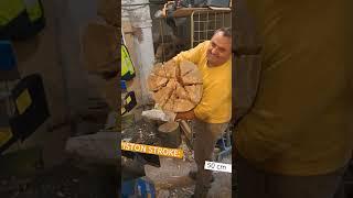 🪵 Electric Vertical Log Splitter AMA RHINO | #shorts