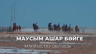 Бәйге 24.02.2024 Құланды ауылы. Маусым ашар