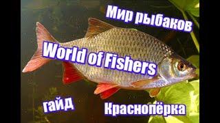 World of Fishers - Краснопёрка!