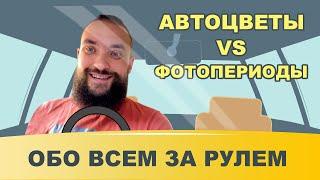 Обо всем за рулем #32 / Автоцветы и фотопериоды - в чем разница? / Mr.GrowChannel