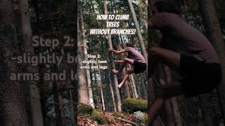How to Climb branchless Trees - 4 easy steps! #treeclimbing  #climbing #forest